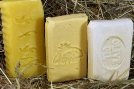 Seifenset für Puristen + 50 Gramm Kernseifenflocken + Rezept für Efeu-Waschmittel